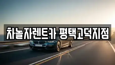 차놀자렌트카 평택고덕지점