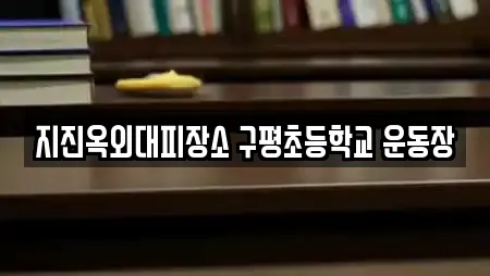 지진옥외대피장소 구평초등학교 운동장