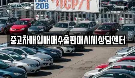중고차 12곳 안내 (동구 산수동)