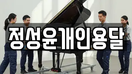 정성윤개인용달