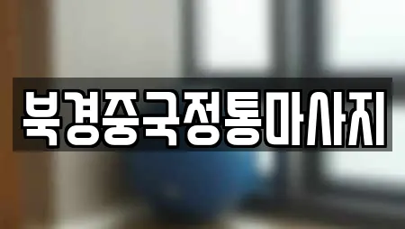 북경중국정통마사지