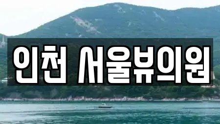 인천 서울뷰의원