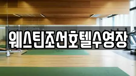 웨스틴조선호텔수영장