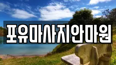 포유마사지안마원