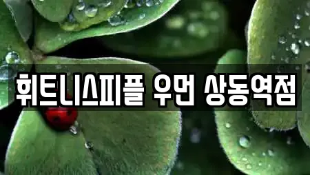 휘트니스피플 우먼 상동역점