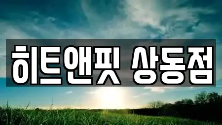 히트앤핏 상동점