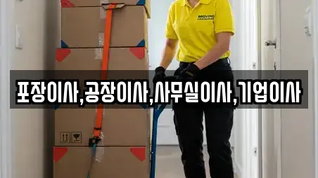 안성시 사곡동 포장이사 컬렉션 11곳