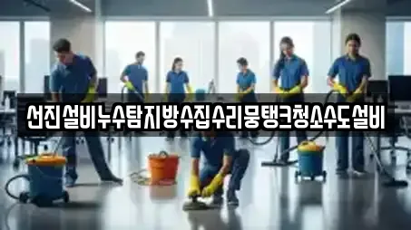 선진설비누수탐지방수집수리뭉탱크청소수도설비