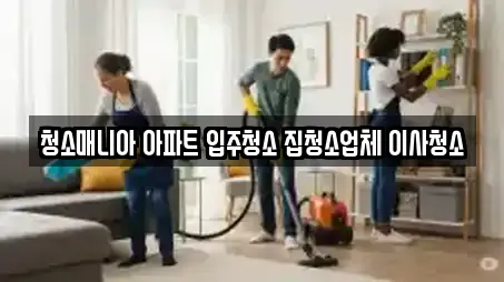 청소매니아 아파트 입주청소 집청소업체 이사청소