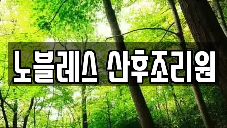 노블레스 산후조리원
