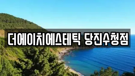 더에이치에스테틱 당진수청점