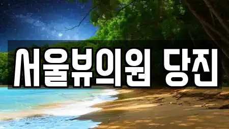 충청남도 당진시 시곡동 피부과 업체 안내 17건