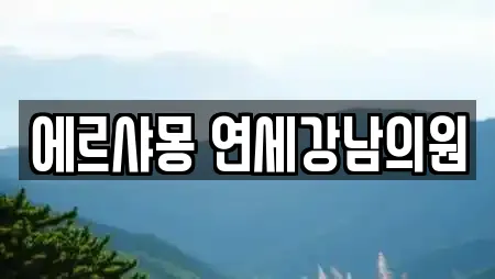 에르샤몽 연세강남의원