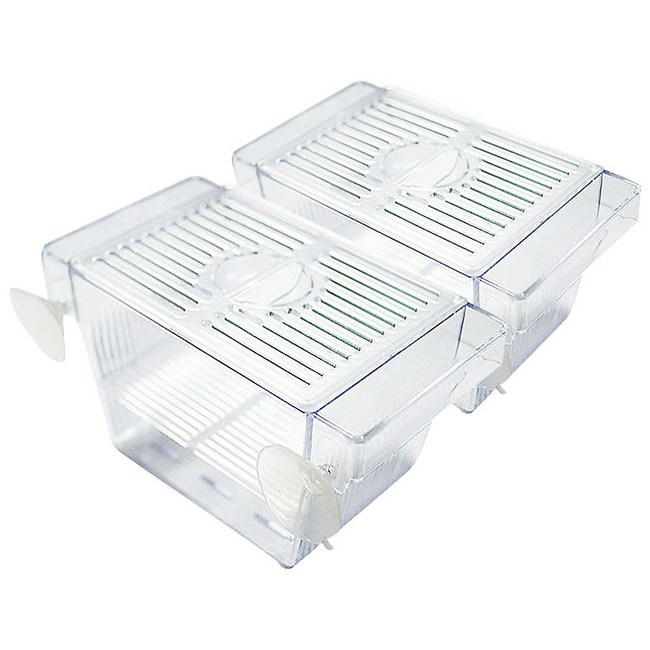 🐾 똑똑한 펫팸족 되기! 객관적 분석 & 체험 기반 애완동물 사육 꿀팁 대방출 🐶🐱