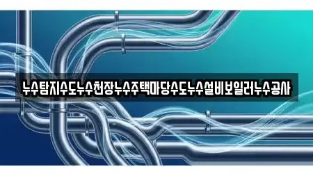 누수탐지수도누수천장누수주택마당수도누수설비보일러누수공사