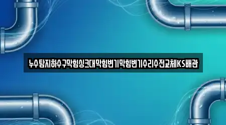 누수탐지하수구막힘싱크대막힘변기막힘변기수리수전교체KS배관