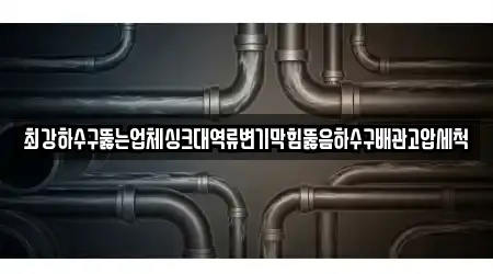 경기 안산 상록구 장상동 인근 변기막힘,누수,싱크대뚫음,하수구막힘,하수구뚫음 추천 17