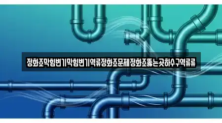 정화조막힘변기막힘변기역류정화조문제정화조뚫는곳하수구역류류