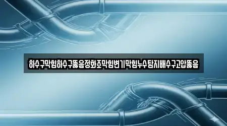 하수구막힘하수구뚫음정화조막힘변기막힘누수탐지배수구고압뚫음