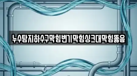 누수탐지하수구막힘변기막힘싱크대막힘뚫음