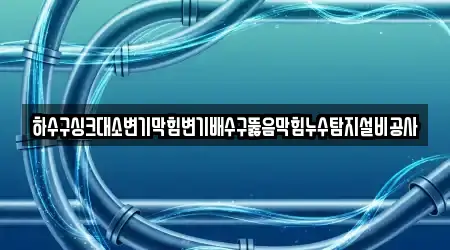 하수구싱크대소변기막힘변기배수구뚫음막힘누수탐지설비공사