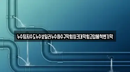 누수탐지수도누수보일러누수하수구막힘싱크대막힘고압세척변기막