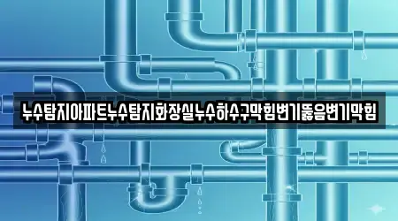 변기뚫음 가까운 12 경북 금노동 정보