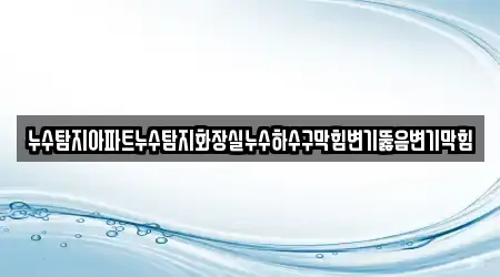 경북 시래동 변기뚫음 12 전문 지도