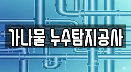 가나물 누수탐지공사