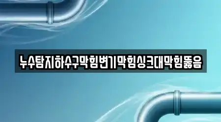 누수탐지하수구막힘변기막힘싱크대막힘뚫음
