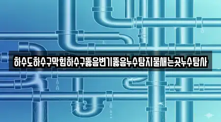 하수도하수구막힘하수구뚫음변기뚫음누수탐지물새는곳누수탐사