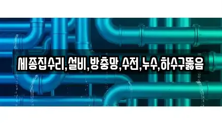 세종집수리,설비,방충망,수전,누수,하수구뚫음