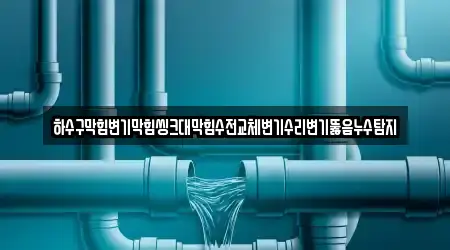 하수구막힘변기막힘씽크대막힘수전교체변기수리변기뚫음누수탐지