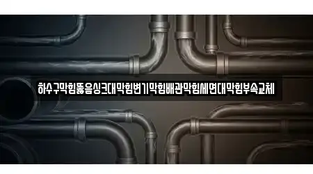 하수구막힘뚫음싱크대막힘변기막힘배관막힘세면대막힘부속교체