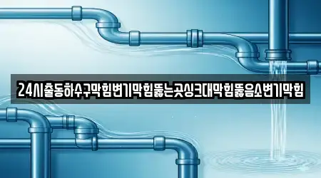 24시출동하수구막힘변기막힘뚫는곳싱크대막힘뚫음소변기막힘
