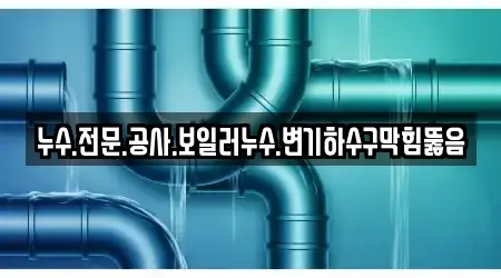 누수.전문.공사.보일러누수.변기하수구막힘뚫음