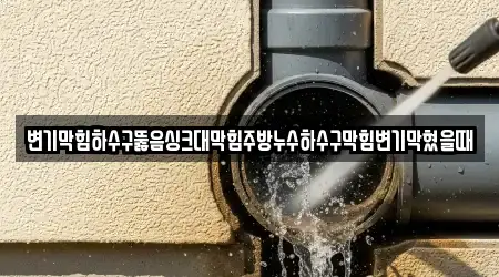 변기막힘하수구뚫음싱크대막힘주방누수하수구막힘변기막혔을때