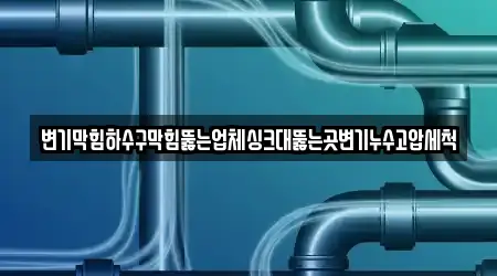 변기막힘하수구막힘뚫는업체싱크대뚫는곳변기누수고압세척