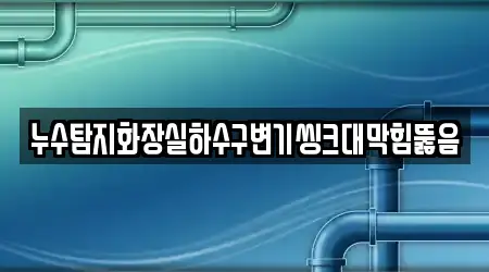 누수탐지화장실하수구변기씽크대막힘뚫음