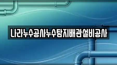 나라누수공사누수탐지배관설비공사