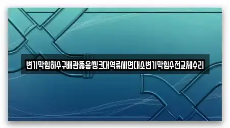 변기막힘하수구배관뚫음씽크대역류세면대소변기막힘수전교체수리
