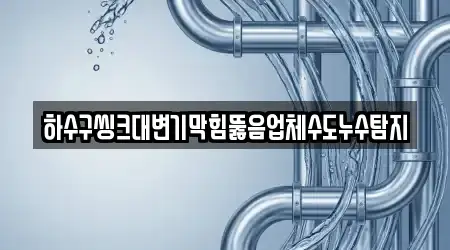 하수구씽크대변기막힘뚫음업체수도누수탐지