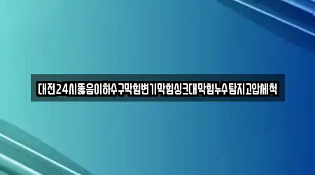 대전24시뚫음이하수구막힘변기막힘싱크대막힘누수탐지고압세척