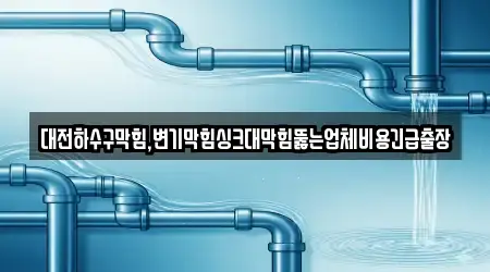 대전하수구막힘,변기막힘싱크대막힘뚫는업체비용긴급출장