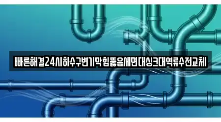 빠른해결24시하수구변기막힘뚫음세면대싱크대역류수전교체