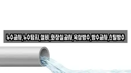 누수공사,누수탐지,설비,화장실공사,옥상방수,방수공사,스틸방수