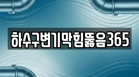 하수구변기막힘뚫음365