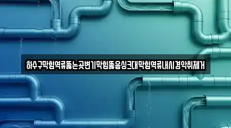 하수구막힘역류뚫는곳변기막힘뚫음싱크대막힘역류내시경악취제거