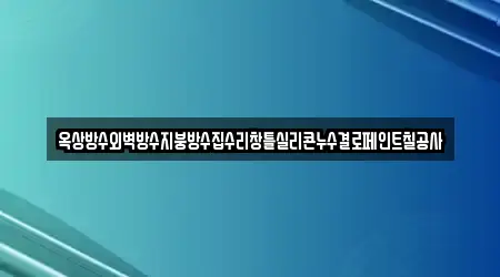 옥상방수외벽방수지붕방수집수리창틀실리콘누수결로페인트칠공사