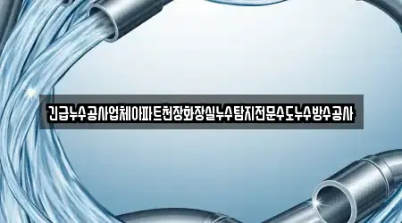 긴급누수공사업체아파트천장화장실누수탐지전문수도누수방수공사